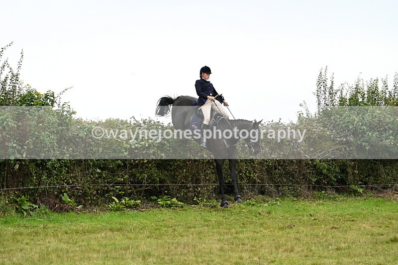 WJ7_4224 - Camera 1 Line 2