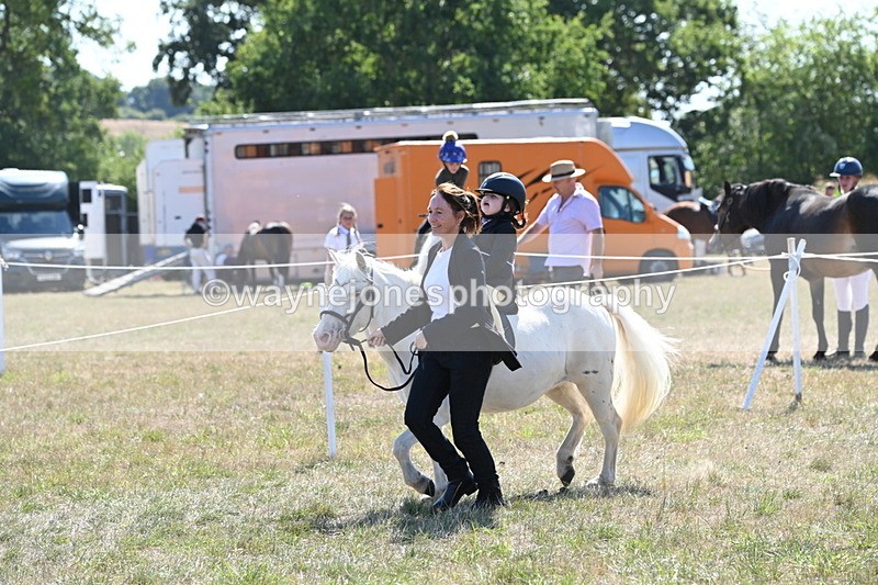 WJ6_7877 - Class 36 Lead Rein