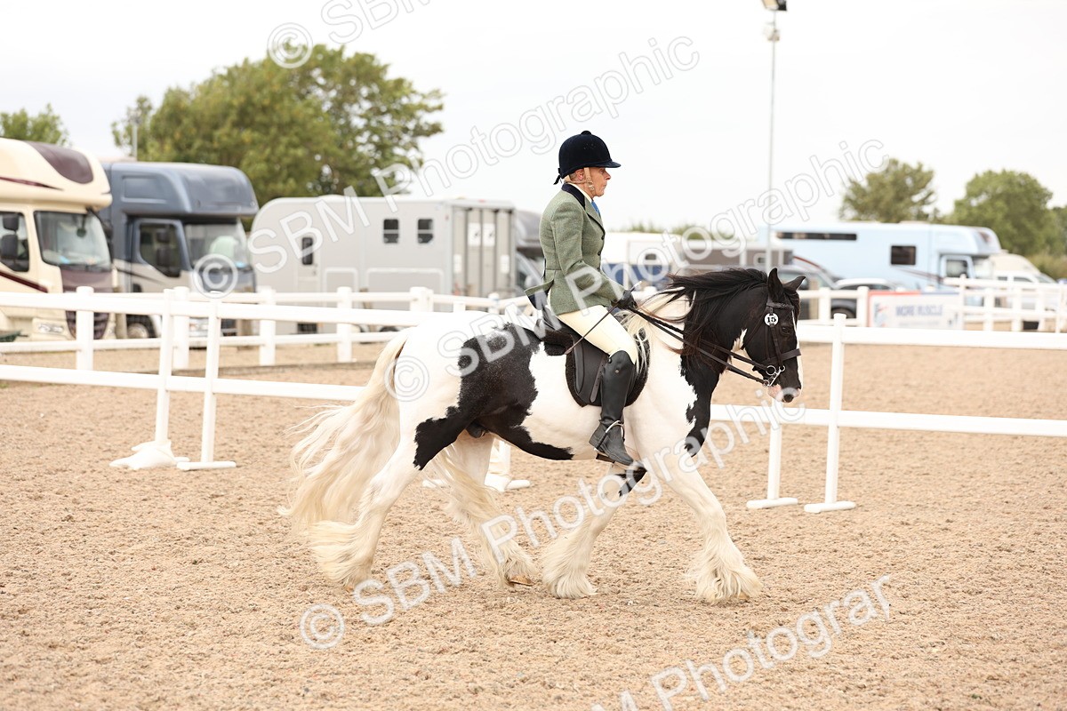 SBM_19646 - Class 216 - Ridden Traditional - Native Cob