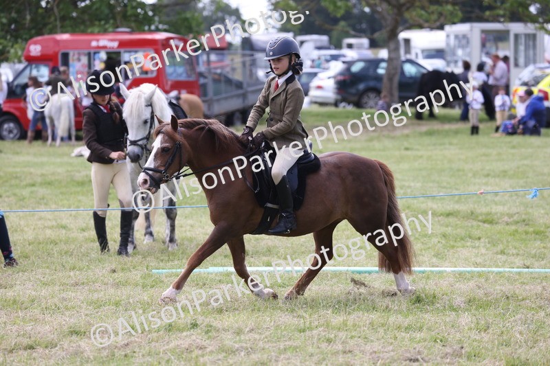 20260614-2092 - Class 21 - Novice Working Hunter Pony