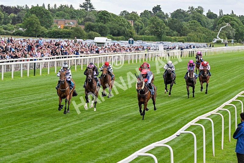 130626-Race 1-Dunkeld Dreamer-0300 - Race 1 13.50pm Queen Mother's Cup Handicap