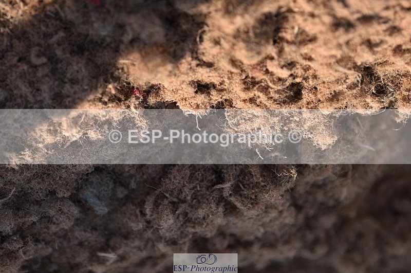 230606A-180450-00286 - 90cm