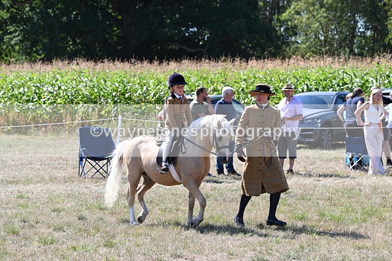 WJ6_8045 - Class 36 Lead Rein