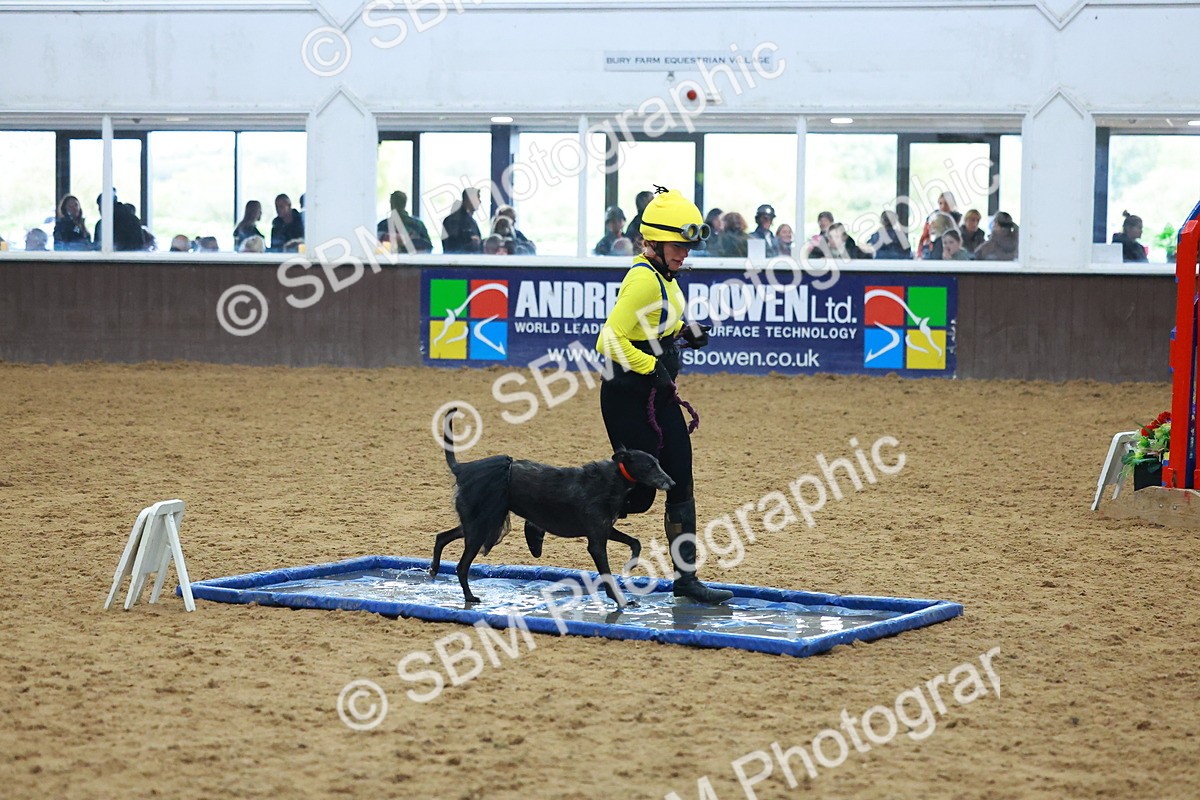 SBM_002332 - Class 3 - Horse & Hound (60cm)