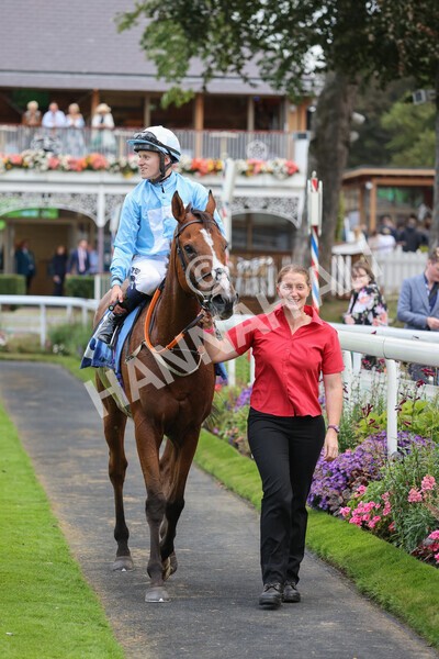 yr24092021r8-29 - Race 8 5.25pm William Hill Build Your Own Odds Apprentice Stakes