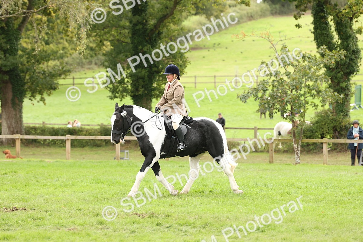 SBM_67256 - S67 - Piebald & Skewbald Horse Ridden