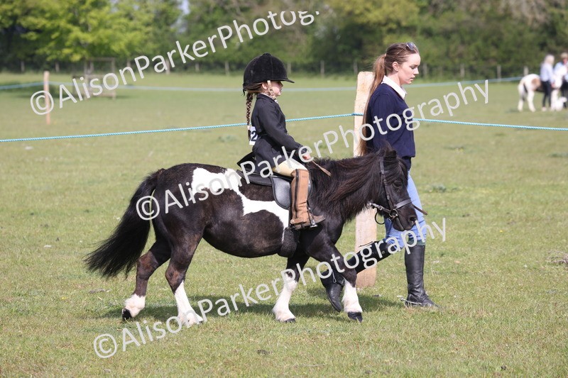 20260426-0561 - Class 31 - Leading Rein