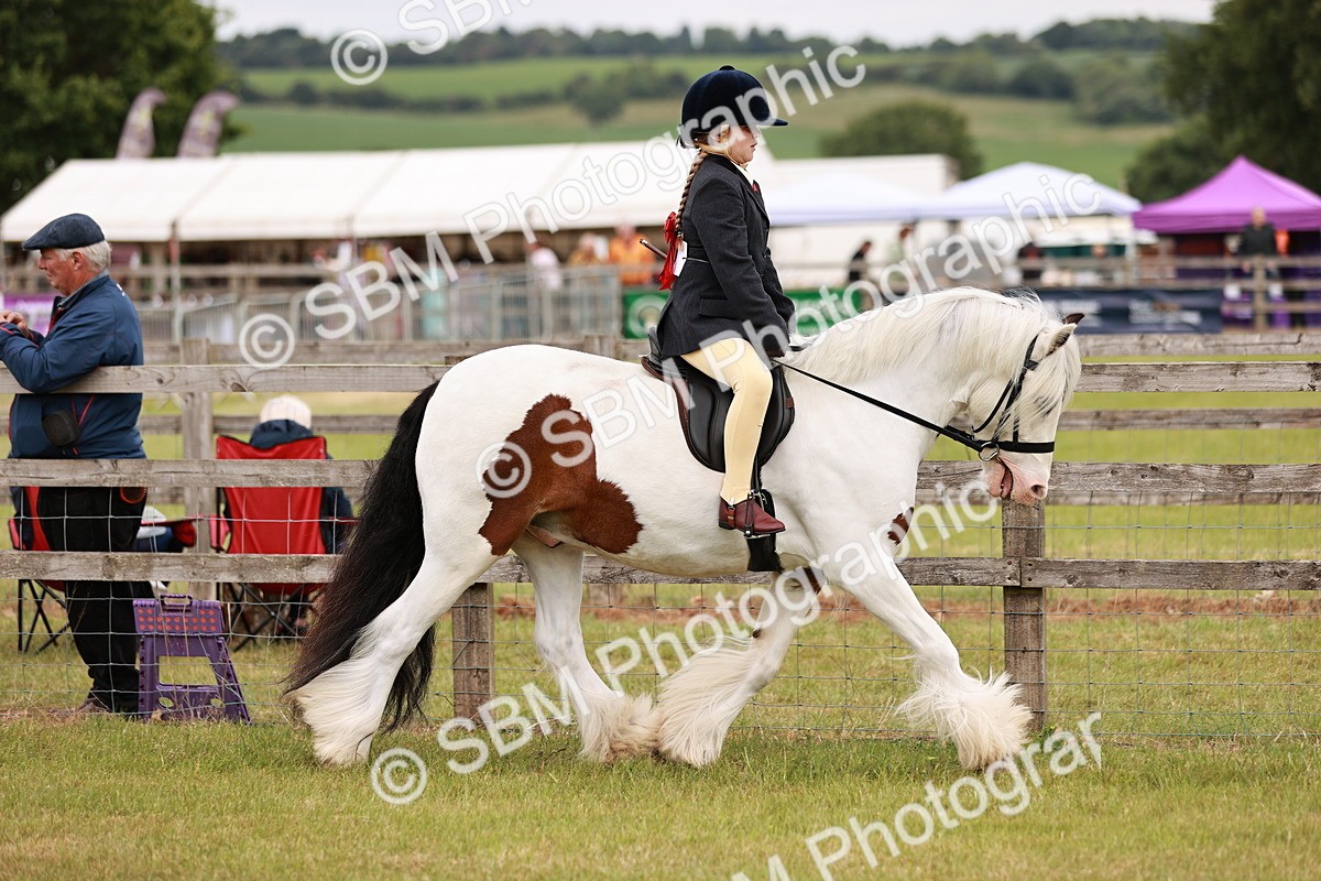 SBM_06097 - Class 39-41 TGCA In Hand and Ridden