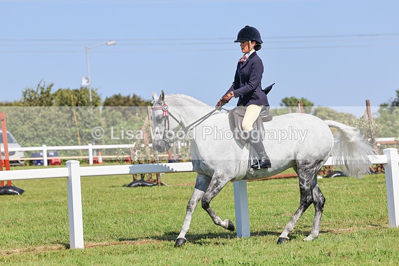 IMG_1913 - Class 33: Show Pony 148cm and under