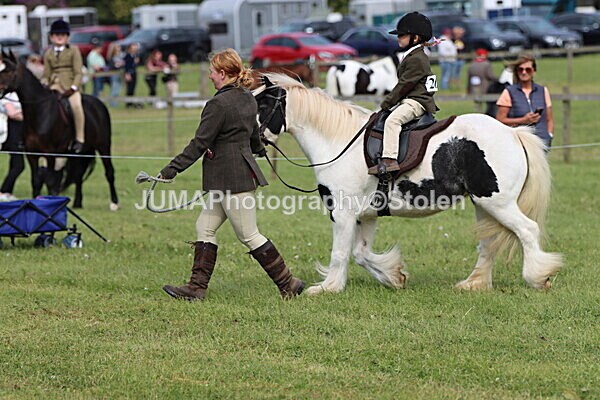 IMG_2294 - Working Hunter
