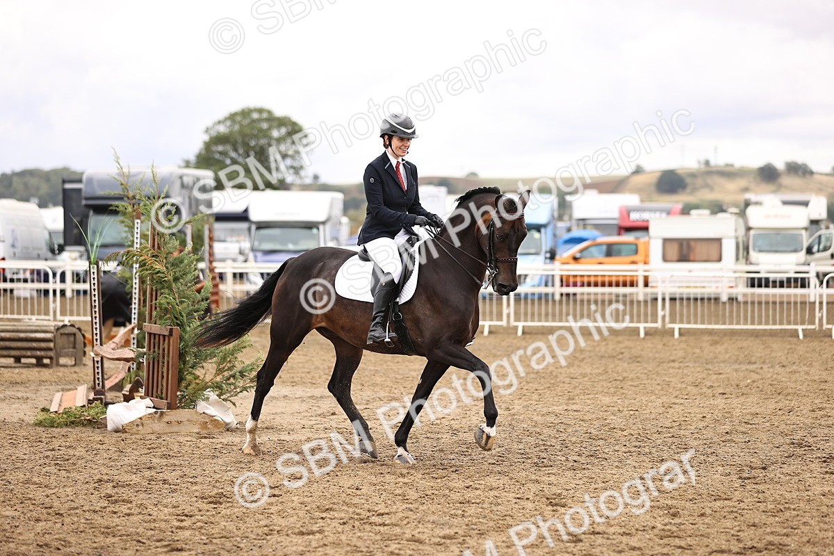 SBM_01423 - Class 54 - Riding Club Horse Pony
