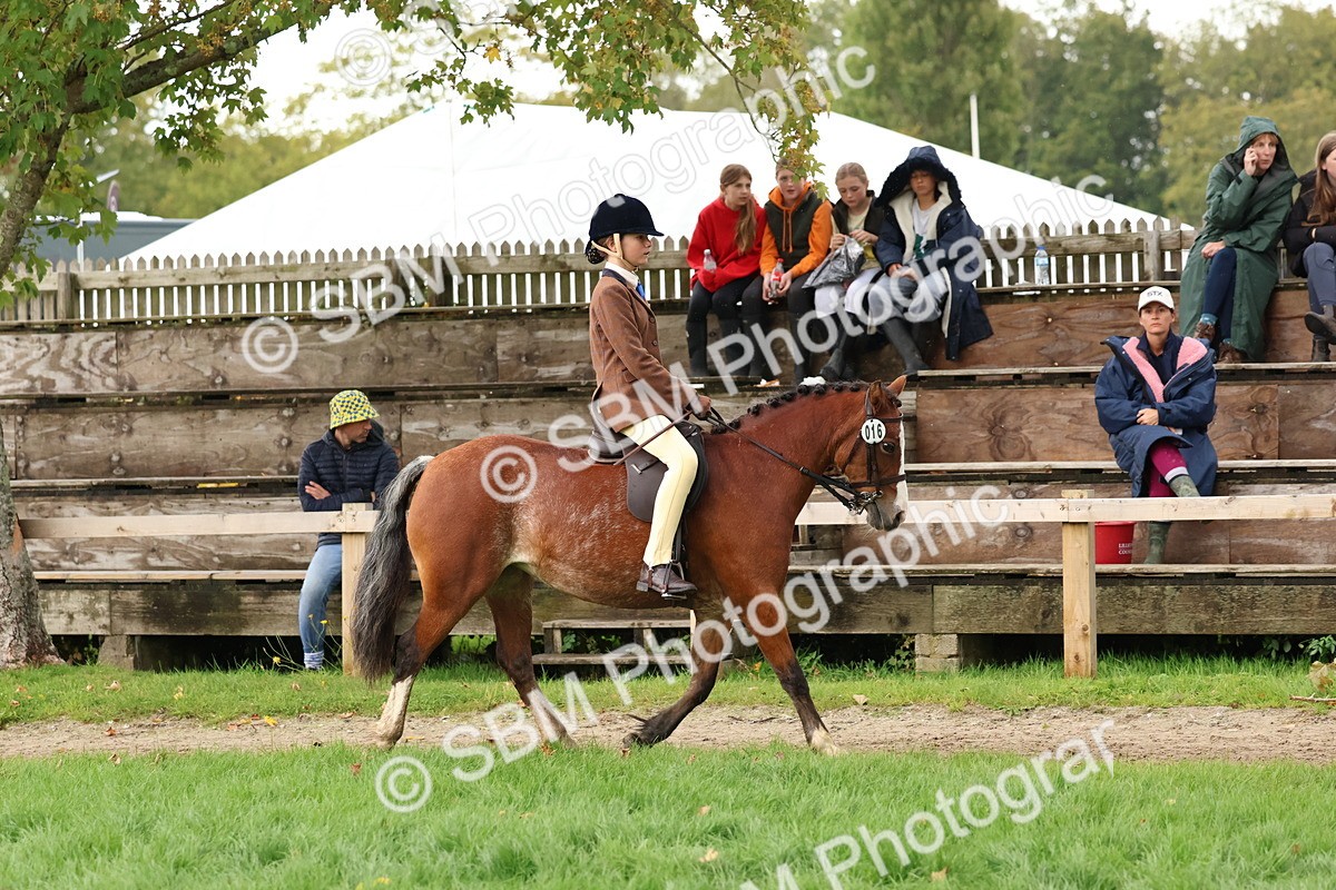 SBM_44964 - S27 - Young Veteran Ridden