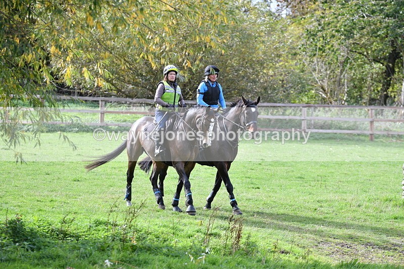 WJ5_0317 - Time 13:25 to 13:58