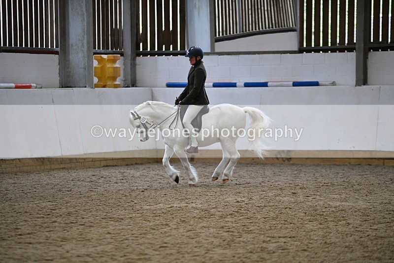 WJ5_6269 - Class 9 Ridden Veteran