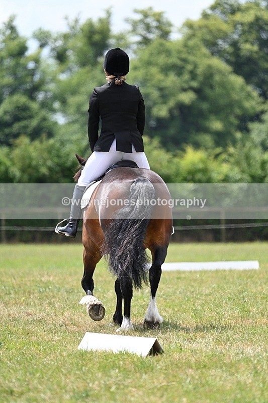 WJ7_5590 - Time 11:52 to 12:10