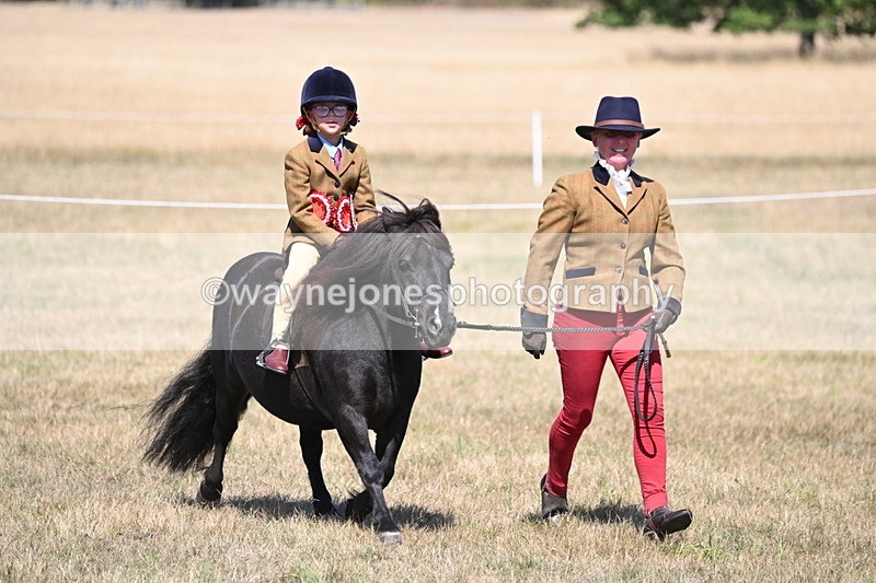 WJ6_9293 - Championship Classes 33-38