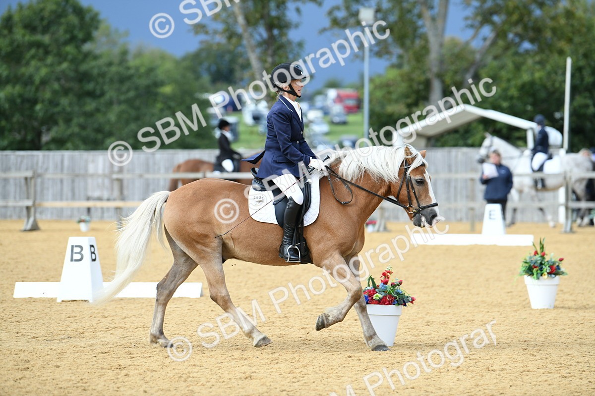 SBM_10909 - D28 Elementary Taster Elementary 42