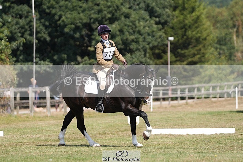 250823A-120211-29256 - Arena A