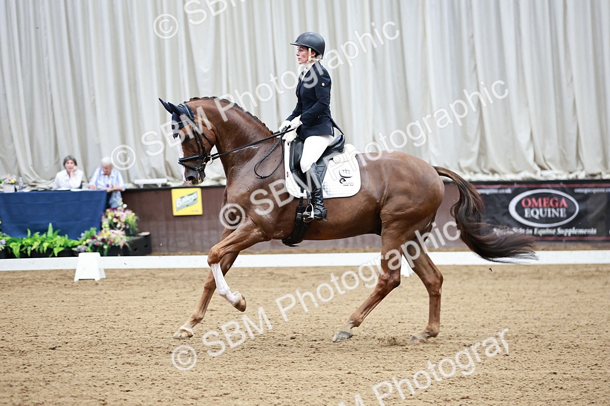SBM_001709 - Class 3 - Medium 6 Gold - 15.37-16.20