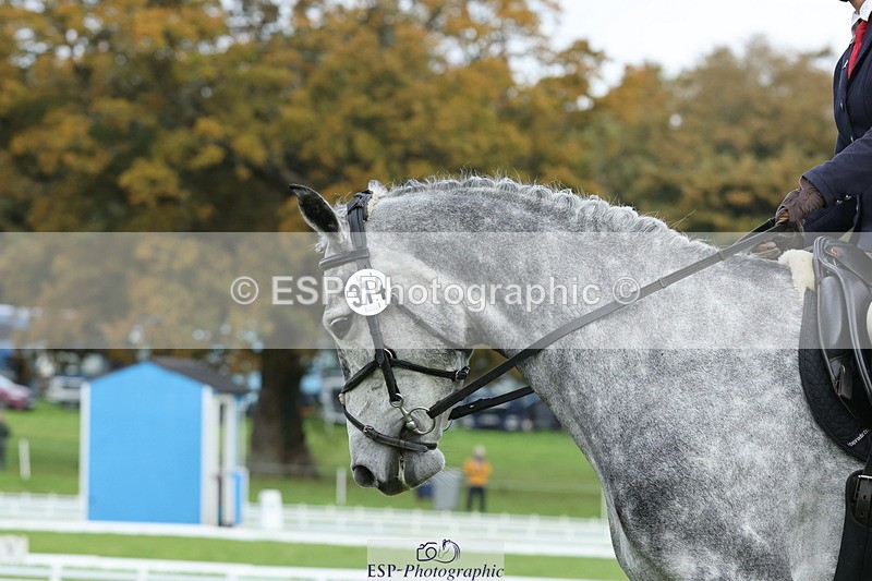 251023A-113135-03350 - D-314-Alice.Tollworthy