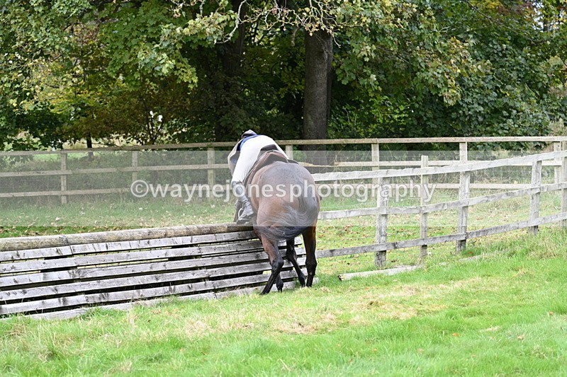 WJ7_4714 - Camera 1 Line 3