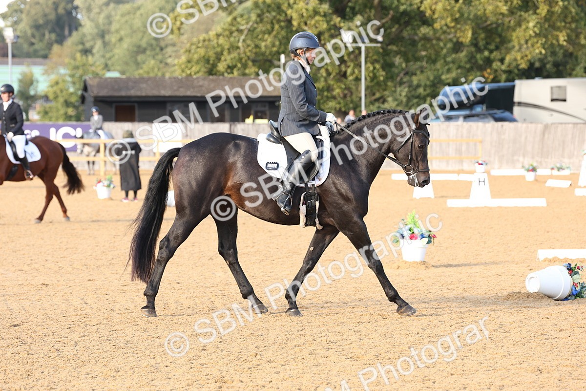 SBM_28257 - D20 - Grand Tour Championship Elementary 3