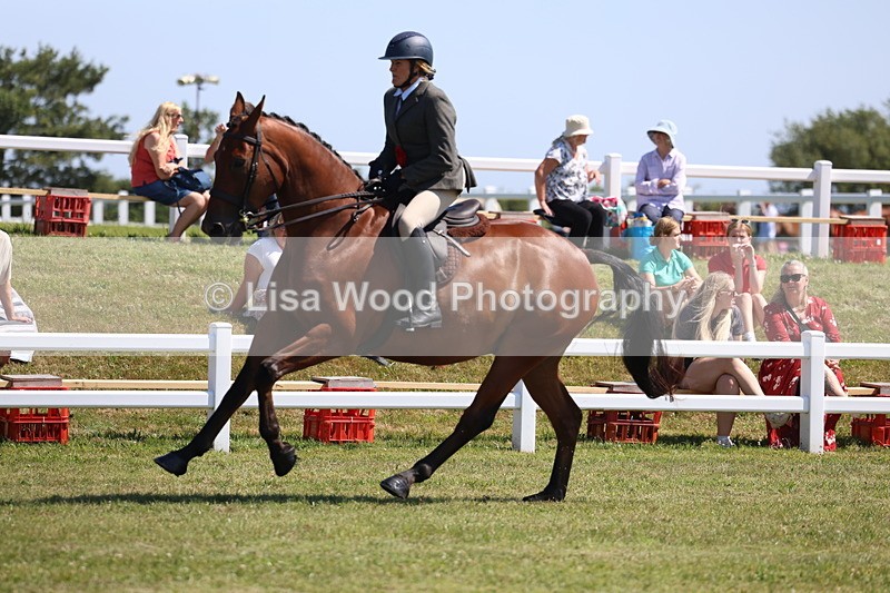 3E7A7562 - Rising Star Ridden Championship