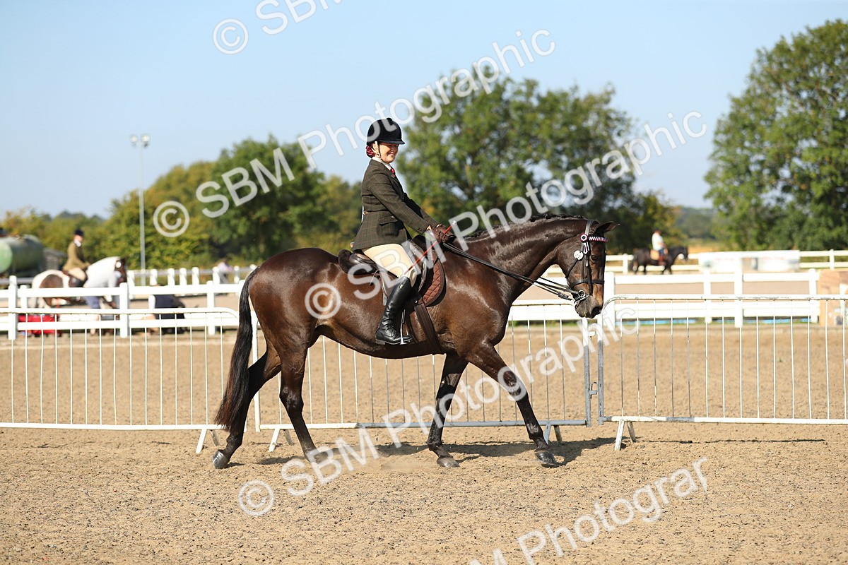 SBM_02183 - Class 43 Ridden Competition Horse/Pony