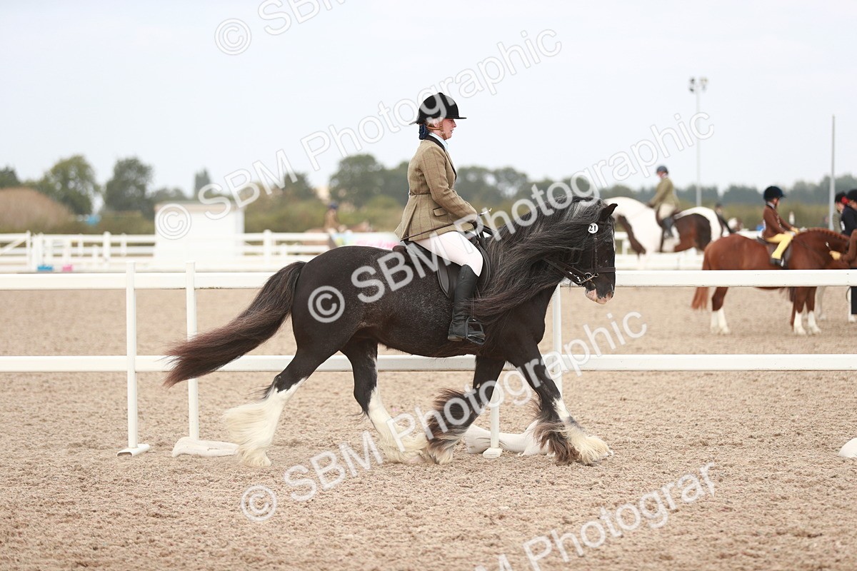 SBM_16591 - Class 214 Ridden Cob