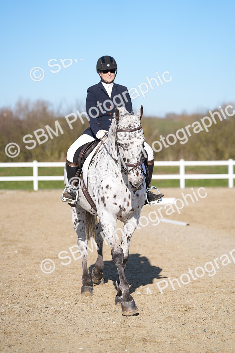 SBM_004229 - Class 3 - P2-80cm - E1