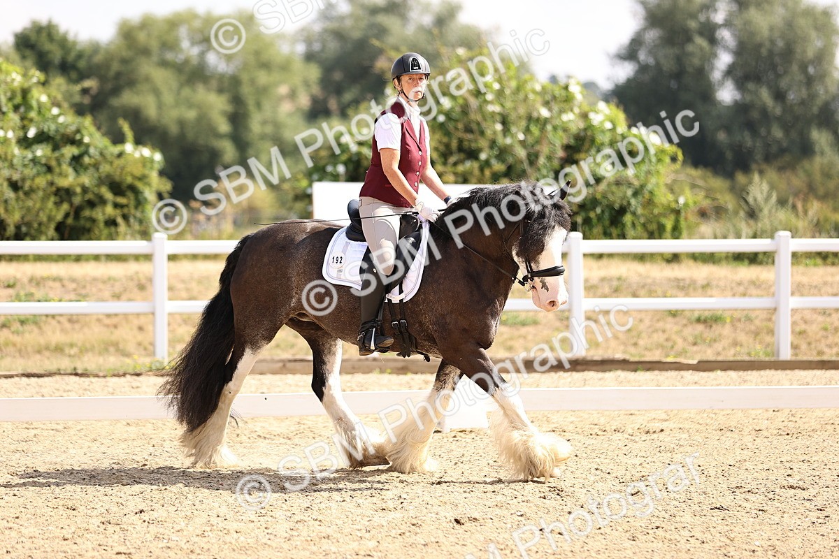 SBM_006484 - Intro 3 - 9.46-10.46