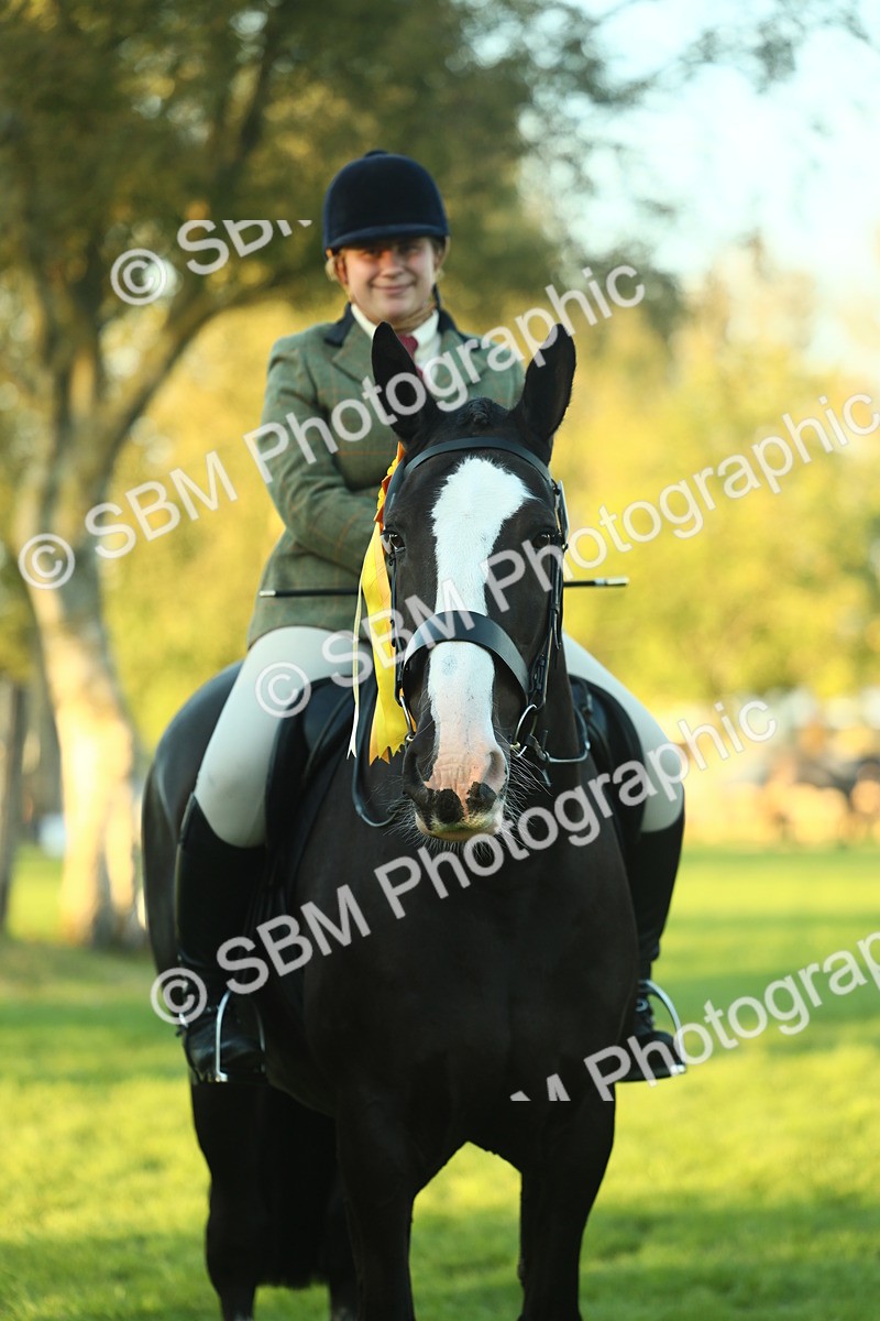 SBM_56554 - S14 - Riding Club Horse