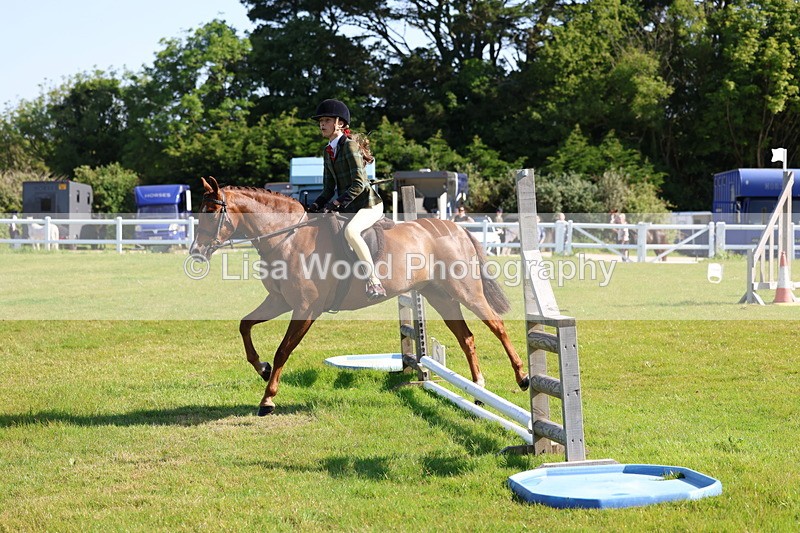 3E7A5909 - Class 27: Novice Working Hunter Pony