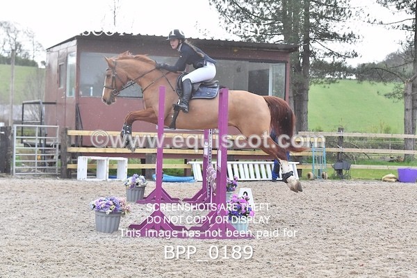 BPP_0189 - CLASS 1 FRI Club/ Unaffiliated 80cms Open