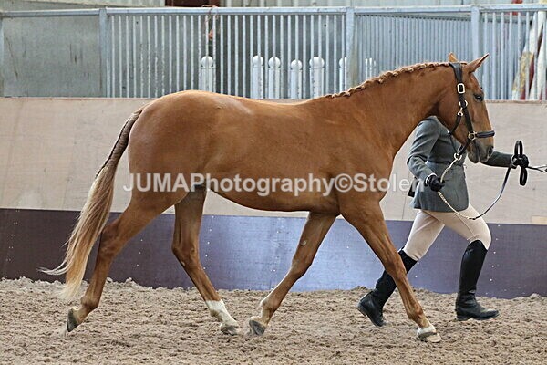 SIAL9317 - Indoor Classes