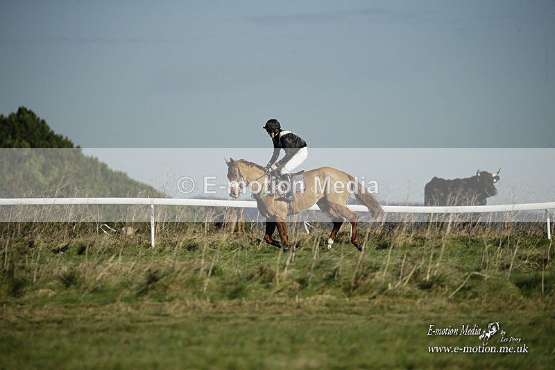 PtP 281121 023 - Hursley Hambledon Point-to-Point Larkhill 28/11/21