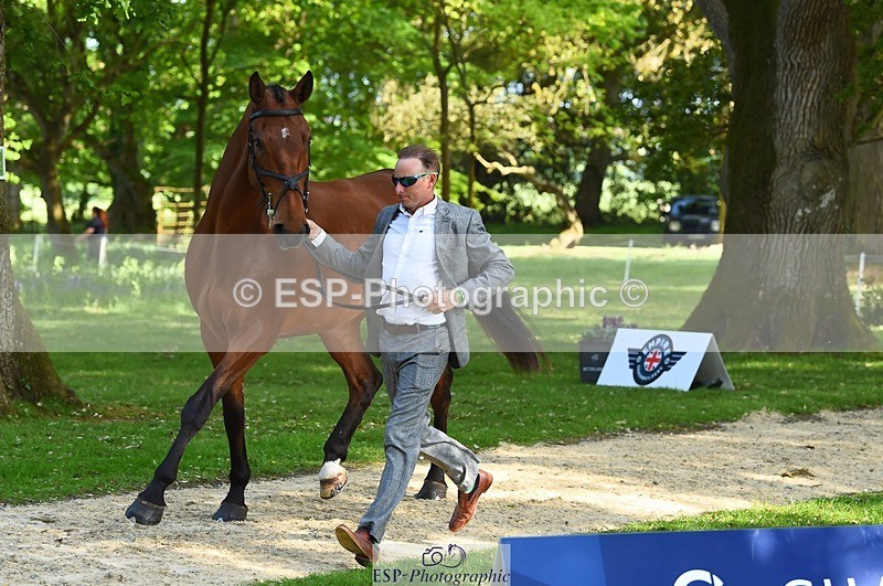 230524-164832-01102 - 116-MONBEG_DARWIN-Michael_Owen-WEDTrotUp+DR