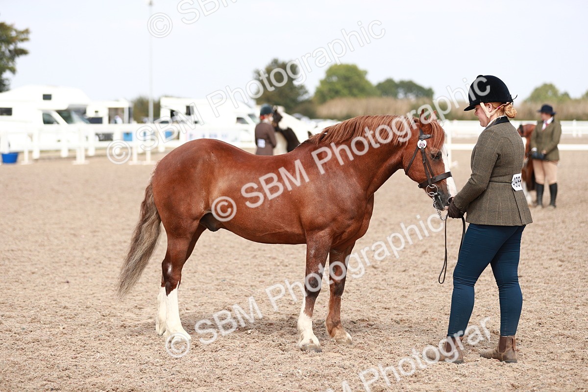 SBM_13916 - Class 209 IH Veteran Pony