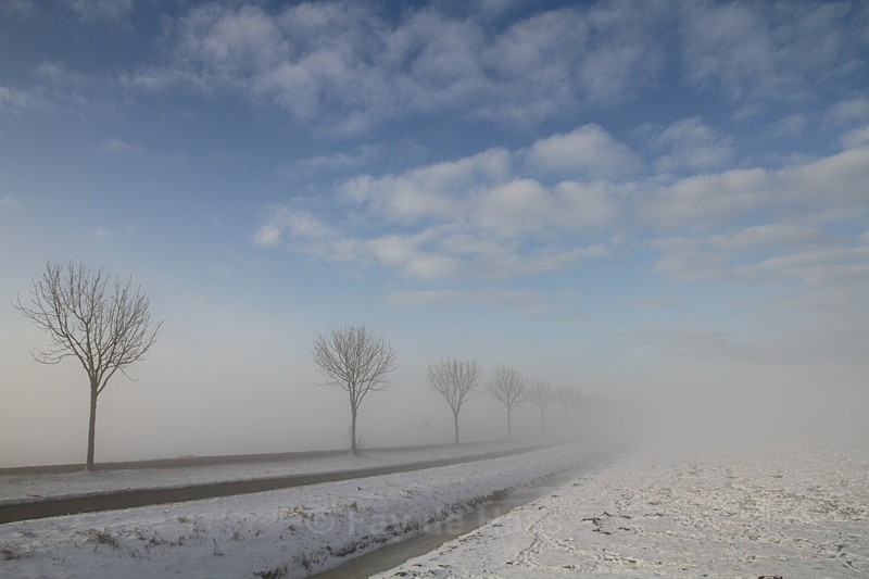  - Misty Morning