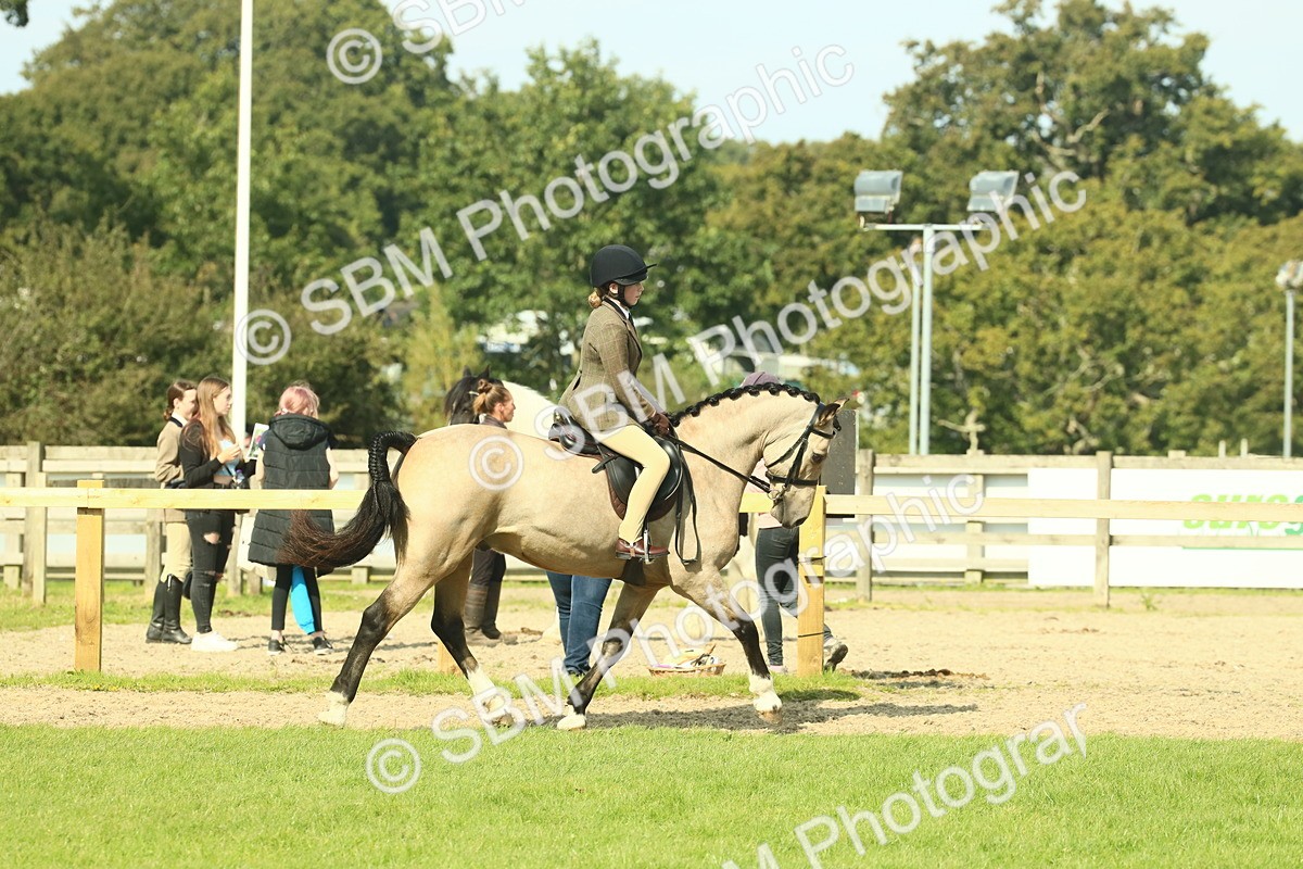 SBM_67613 - S56 - Coloured Pony Ridden