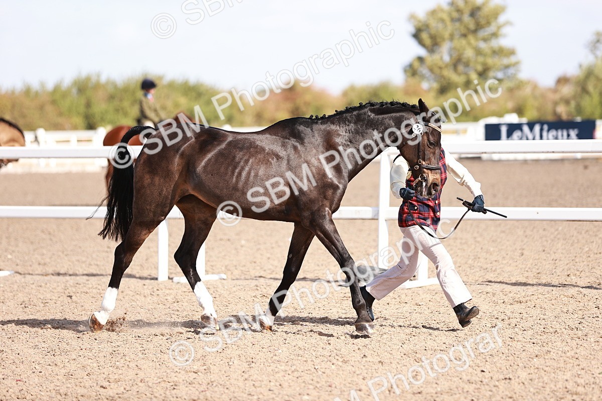 SBM_22791 - Class 705 - IH Combination 65+