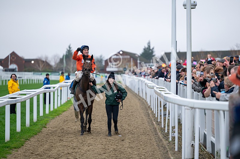 151125-Race 4-Panic Attack-0889 - Race 4