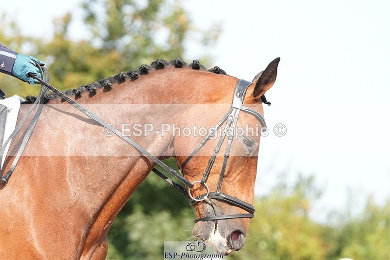 250817-104540-08171 - 107-Jo.RetallackDelgardo.Z