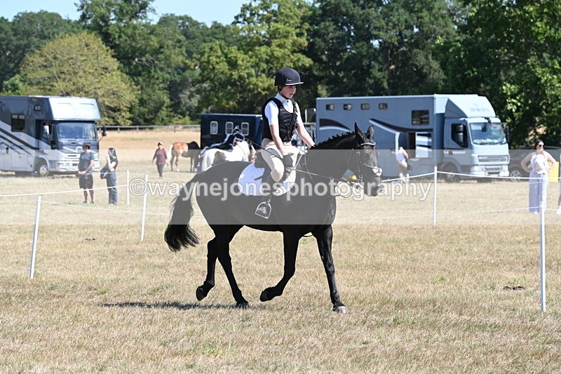WJ6_8311 - Class 37a Best Loan Pony Ridden