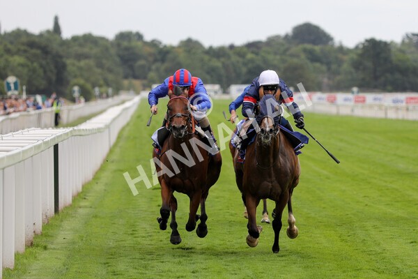 yr23072022r3-23 - Race 3 3.15pm Sky Bet York Stakes