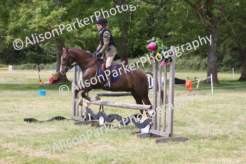 20260614-2855 - Class 22 - Open Working Hunter