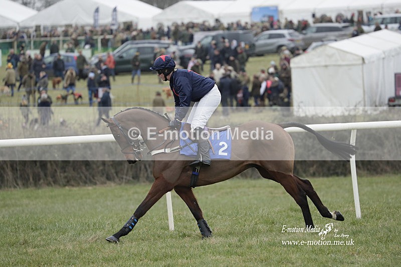 PtP 040323 309 - Duke of Beauforts Hunt Point-to-Point Didmarton 04/03/23