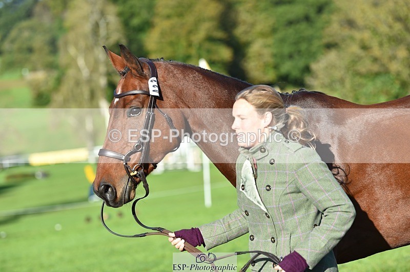 231022-102028-22425 - 433-WILLIAM-Laura.Sharpe-TrotUp+SJ