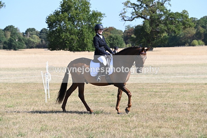 WJ6_7198 - Class 33 Rescue Pony