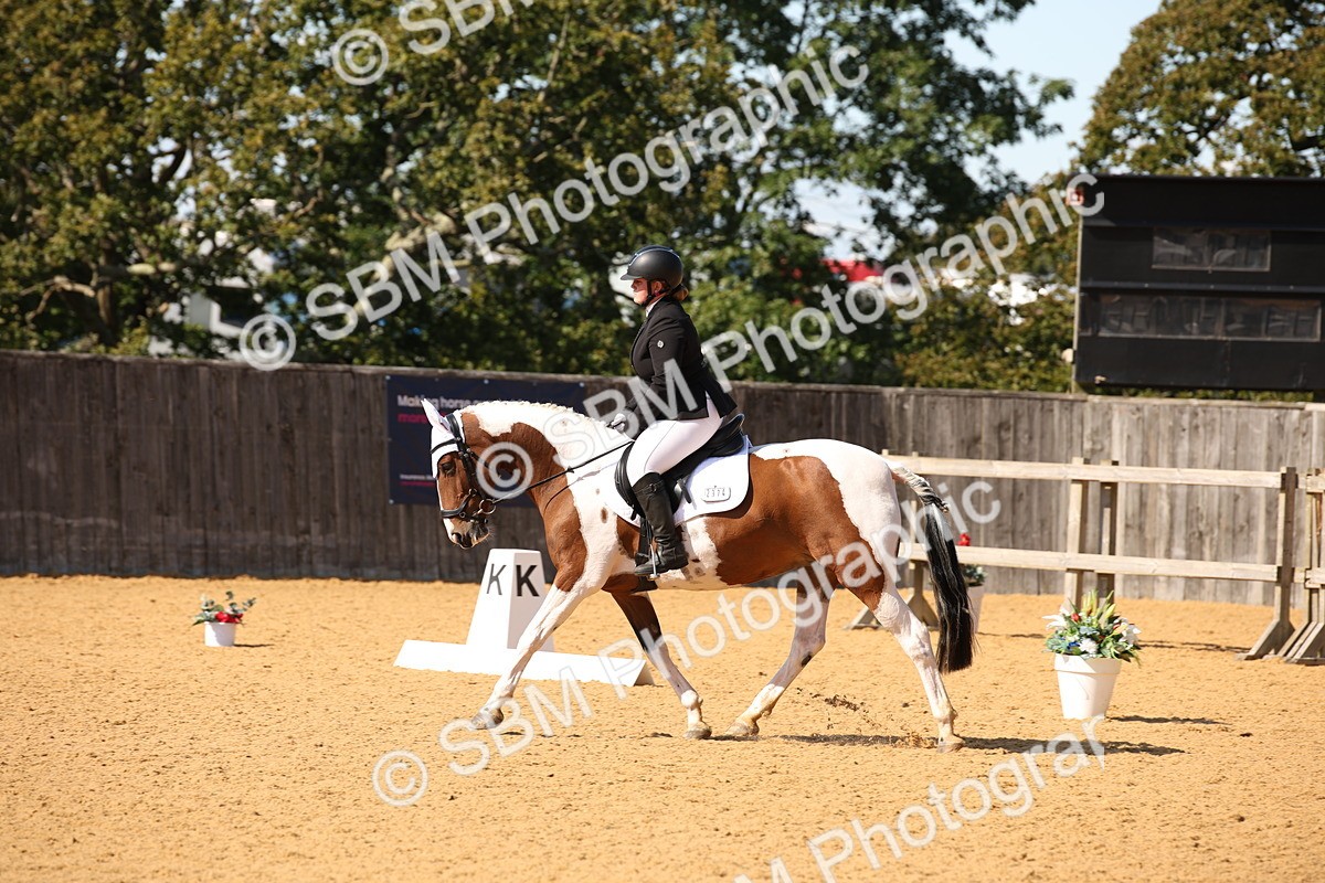 SBM_24204 - D5 - Small Tour Championship - Intro C